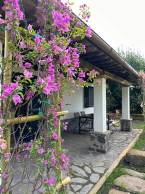 Agriturismo Iride Bolsena